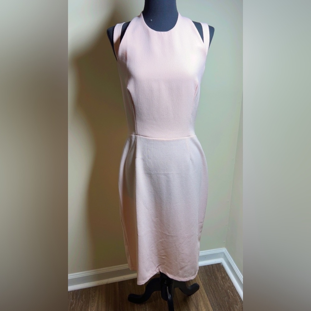 Love Strapless Light Pink Dress